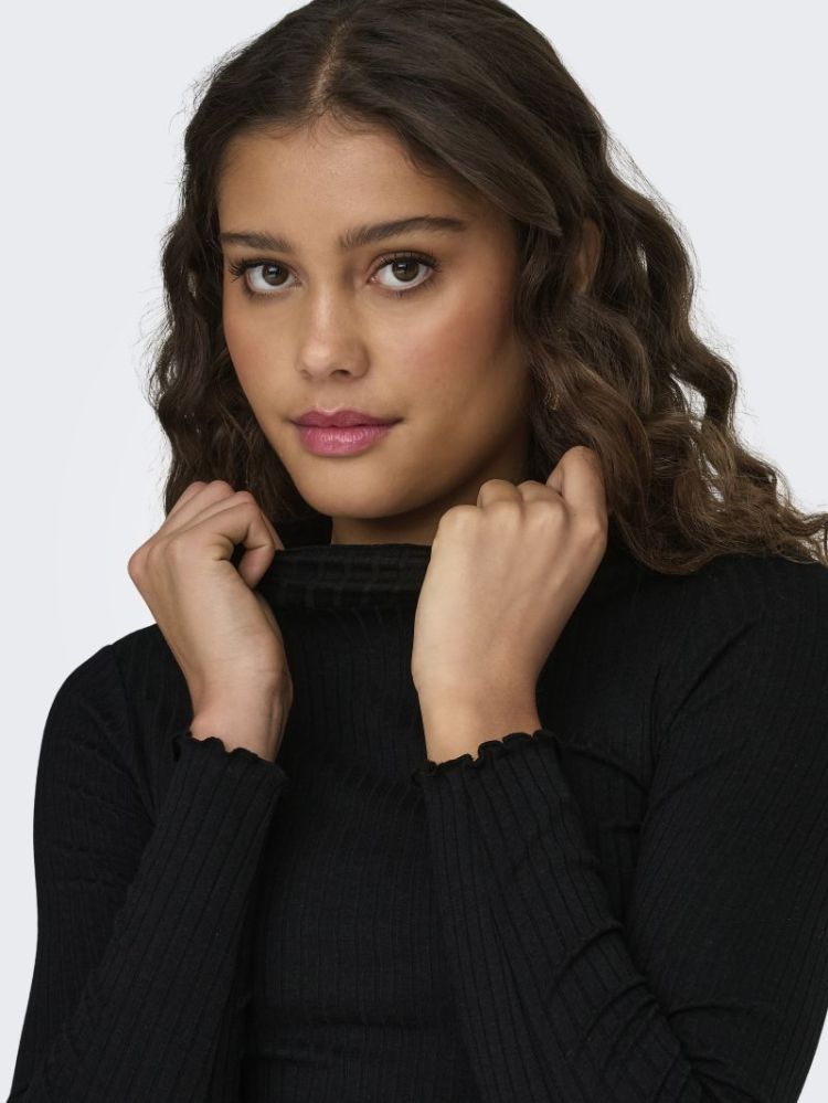 JDYFRANSISKA L/S HIGHNECK TOP  177911 Black
