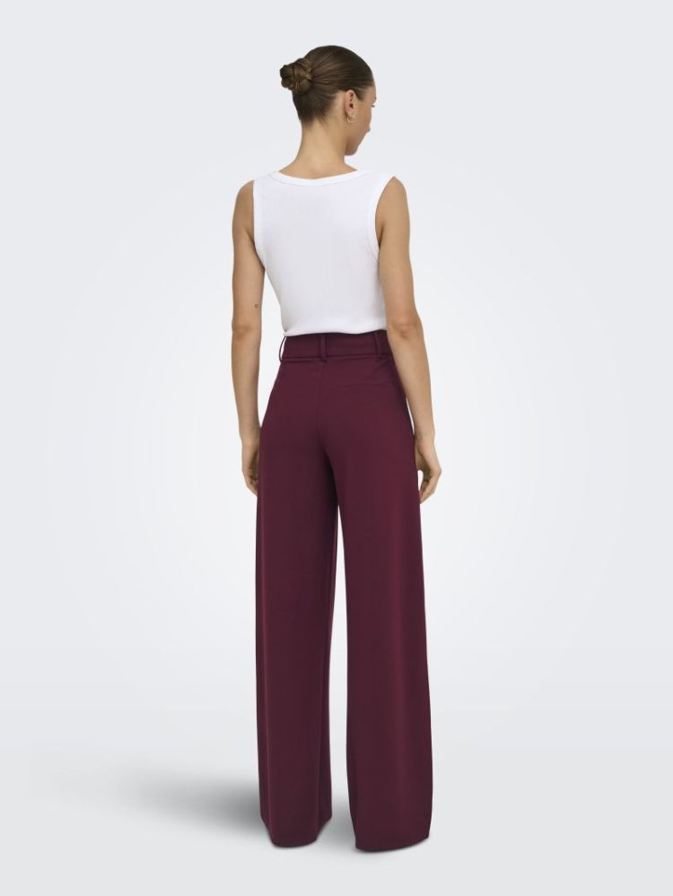 JDYGEGGO LIFE OCCASION PANT JR 193785 Windsor