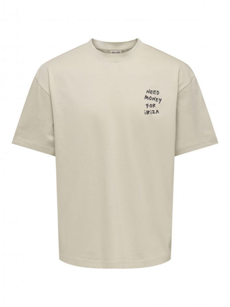 ONSMONEY LIFE LOOSE SS TEE 261395001 Silve