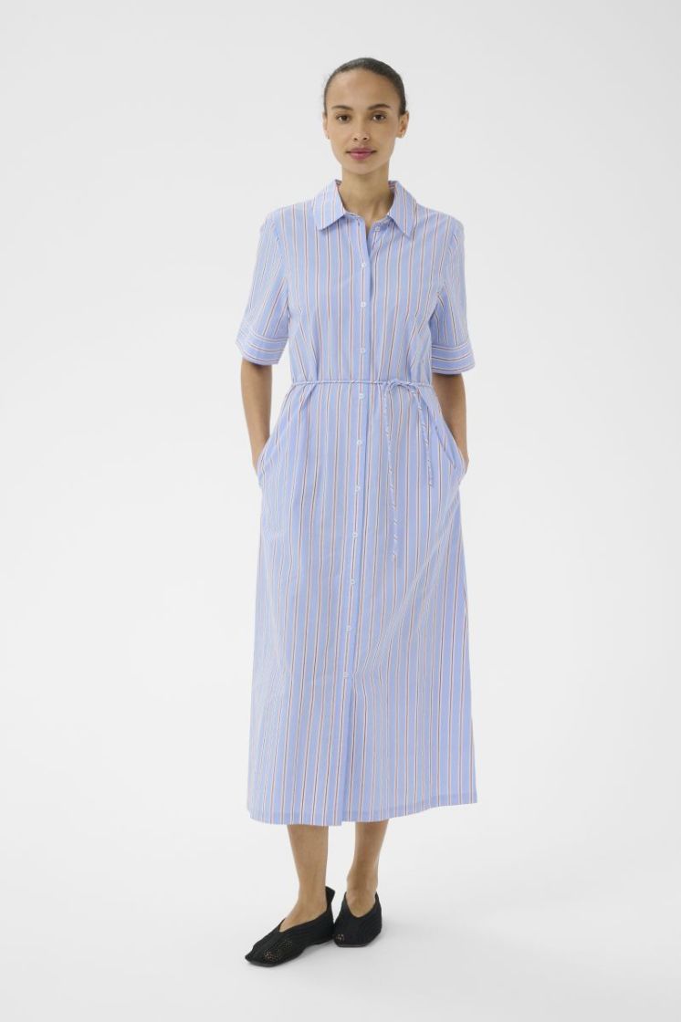  305067 Blue Bur