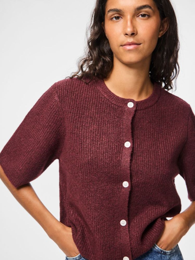 PCSILLY SS O-NECK KNIT CARDIGA 188938001 Tawny