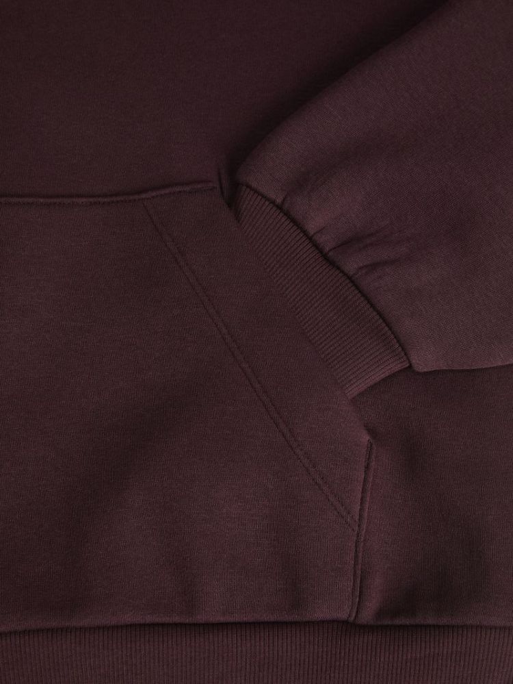 JXSTUDIO VESTERBRO LS RLX HOOD 176841001 Winet