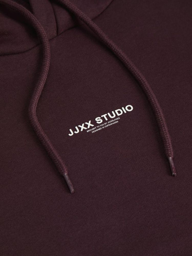 JXSTUDIO VESTERBRO LS RLX HOOD 176841001 Winet