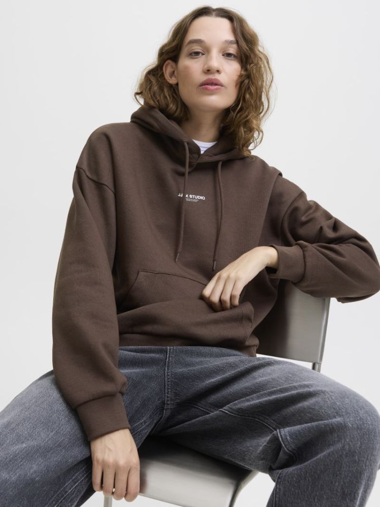 JXSTUDIO VESTERBRO LS RLX HOOD 176126001 Brack