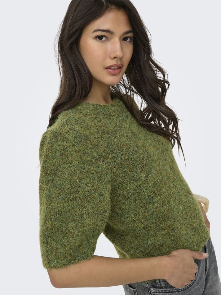 ONLNELLIE SS O-NECK KNT NCA 193783001 Fores