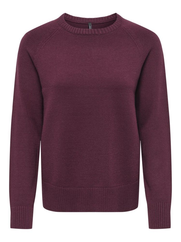 ONLPRINCESS LS O-NECK RAGLAN K 177912 Fig