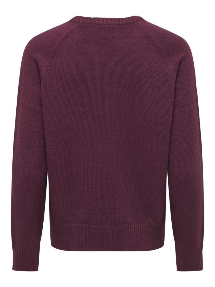 ONLPRINCESS LS O-NECK RAGLAN K 177912 Fig