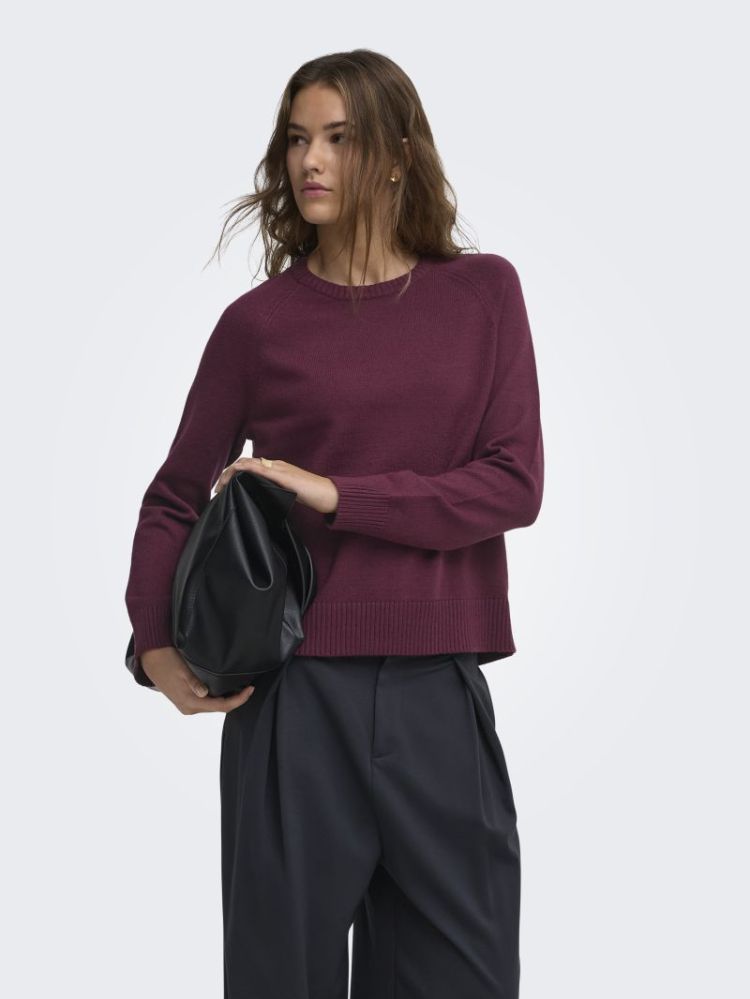 ONLPRINCESS LS O-NECK RAGLAN K 177912 Fig