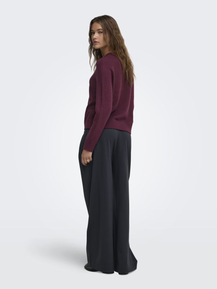 ONLPRINCESS LS O-NECK RAGLAN K 177912 Fig