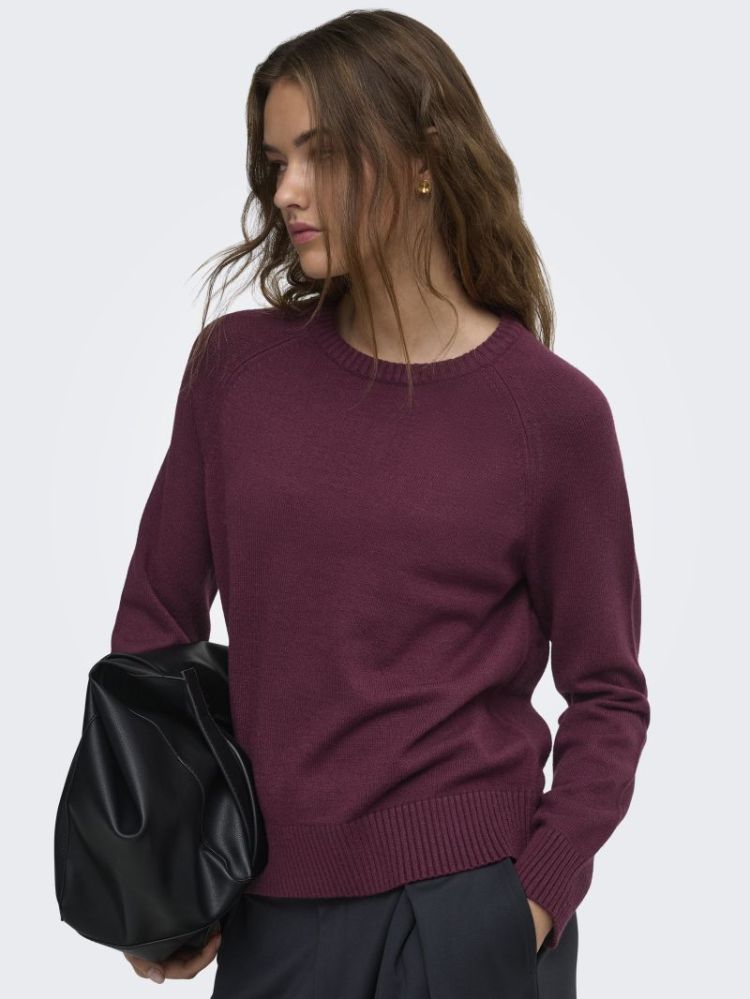ONLPRINCESS LS O-NECK RAGLAN K 177912 Fig