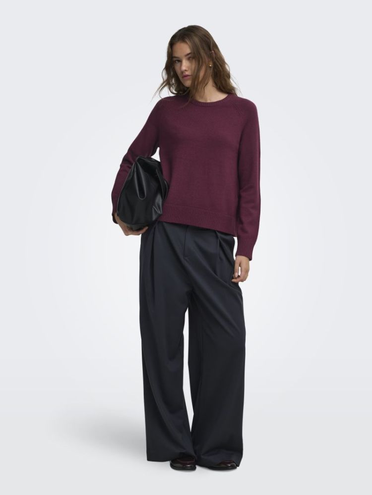 ONLPRINCESS LS O-NECK RAGLAN K 177912 Fig