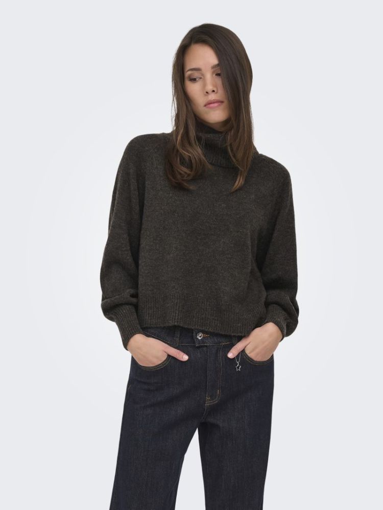 ONLOLIVIA LS ROLL NECK CC KNT 206971001 Mole/